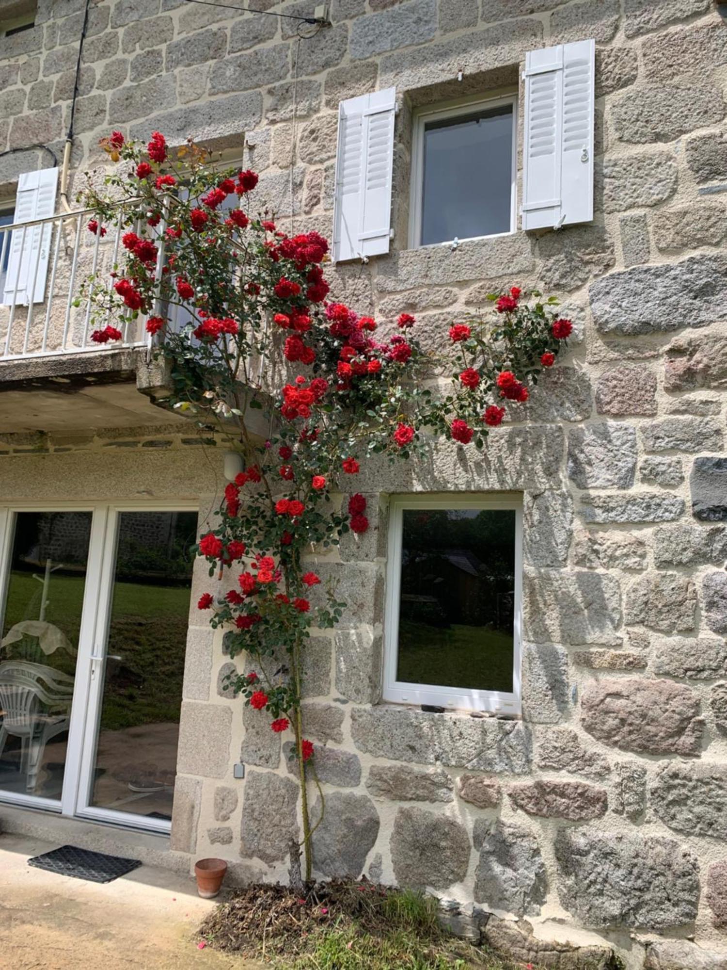 Вилла Ferme Au Calme A 15Mn Du Chambon Sur Lignon Saint-Jeures Экстерьер фото